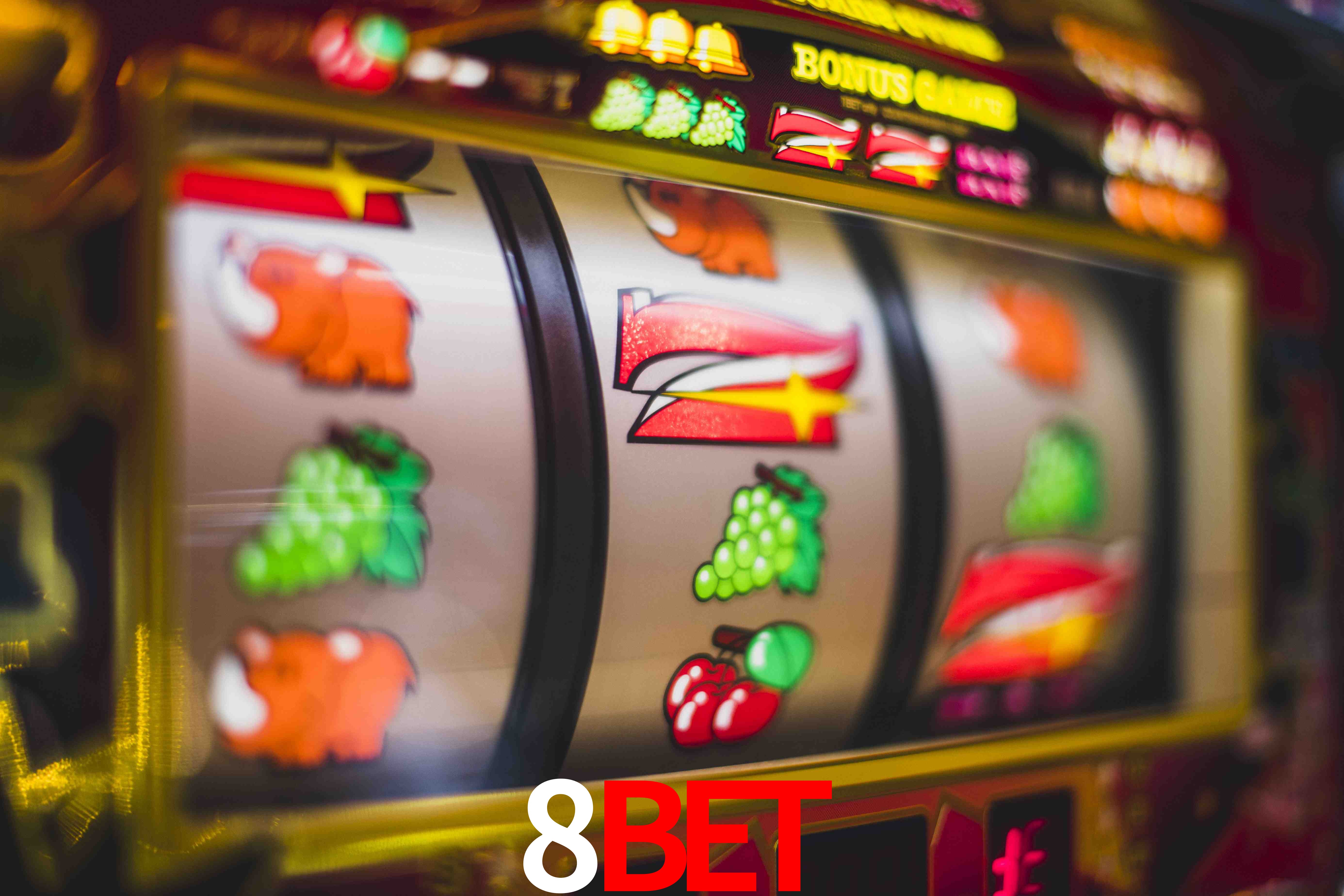 VIP Casino 8bet